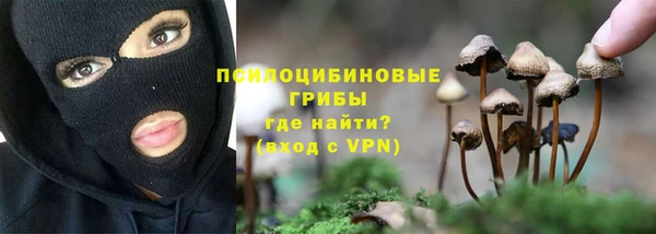 прущие крисы Алзамай
