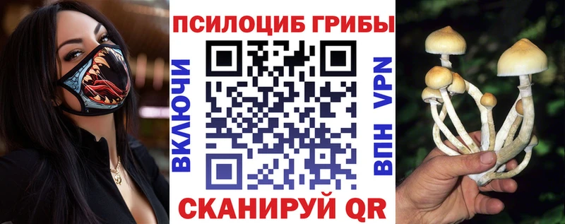 Псилоцибиновые грибы Cubensis сколько стоит Бугуруслан