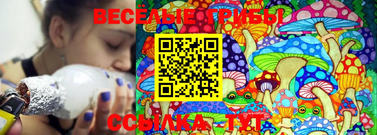 Псилоцибиновые грибы прущие грибы Бугуруслан