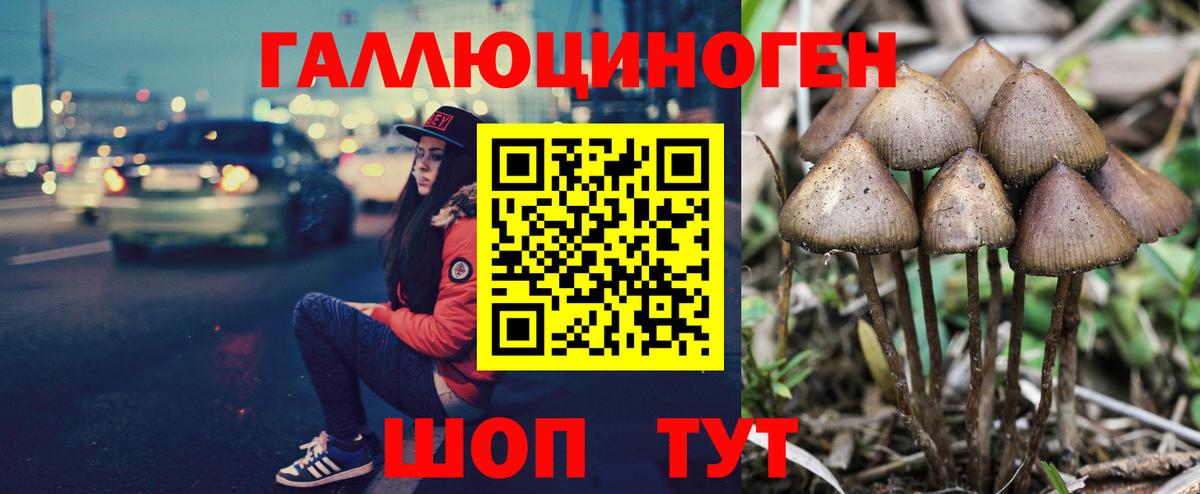 где купить наркотик  Галлюциногенные грибы GOLDEN TEACHER  Вход с VPN  Бугуруслан  Псилоцибиновые грибы мицелий 