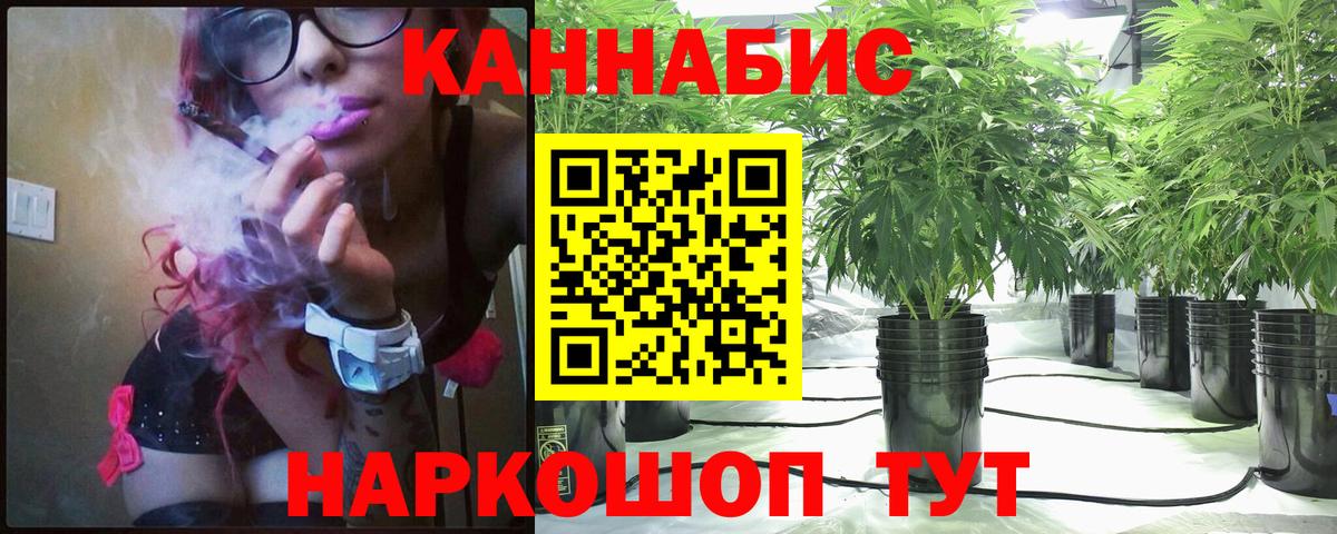 Каннабис план Бугуруслан